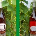 Rosé Le Grolleau